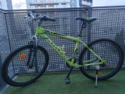 Rower Kross Hexagon X1