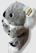 Aussie Born Australia Miś Koala maskotka 29cm