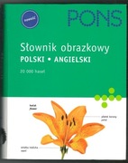 Słownik obrazkowy polski angielski 20 000 haseł - 2007 r.