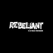 REBELIANT 12 Lat Walki Z Wiatrakami 2LP Jaworzno 1989-2001 punk Dezerter