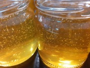 Miód wielokwiatowy z obszaru ekologicznego leśnego