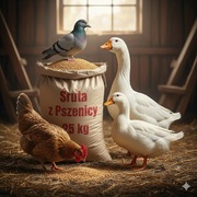 Śruta z Pszenicy, pasza, karma dla drobiu, kur, kaczek, gołębi, gęsi.