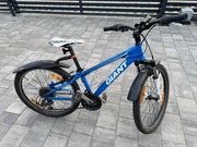 Rower GIANT 2D ATX 2 