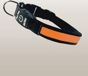 Obroża dla psa USB świecąca, bezpieczna