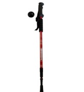 kij do chodzenia NORDIC WALKIG trekkingowy teleskopowy 65-110 cm  +Gratis