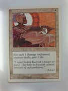 Spirit Link Ved Mtg
