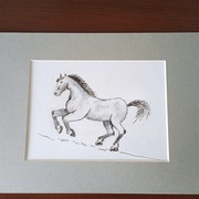 KOŃ W BIEGU 5. STYLOWY RYSUNEK