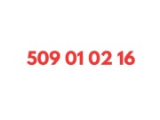 509 01 02 16 STARTER ORANGE KARTA SIM UNIKATOWY ZŁOTY PROSTY ŁATWY NUMER