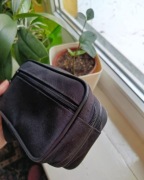 Saszetka męska z kodury