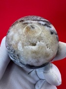 KULA - rzadki polerowany JASPIS TRZMIELI - 259 g