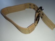 Brązowa obroża dla psa