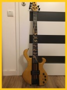 Gitara basowa aktywna Kania Spider 5 + Nordstrand - zamienię/sprzedam