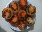 Pomidor Czarny Lakier