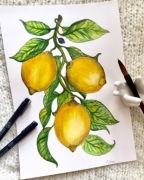 Akwarela obraz „cytryny” A 4 oryginał 