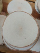 Plastry drewna brzozy krążki brzozowe szlif ok 17