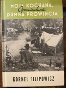 Moja kochana, dumna prowincja: opowiadania Kornel Filipowicz