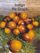 042-Indigo Pir Drops. Pomidory kolekcjonerskie.