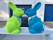 2x 46cm Zajac Stary Browar parka Wielkanoc 2025 lime & ocean blue