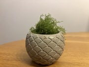 Mini doniczka betonowe