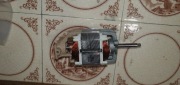 Leister Rion Herz