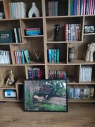 plakat na płótnie 50x70 cm John Everett Millais Ofelia