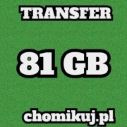 TRANSFER CHOMIKUJ 81 GB BEZTERMINOWO