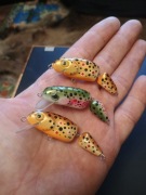 Trzy woblery łamańce 