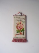 IV RAJD O ZŁOTĄ CIUPAGĘ WISŁA 1986 PTTK ZABRZE PROPORCZYK