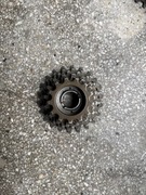 Wolnobieg Regina ORO Corse 6-rzędowy 13-22T