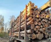 Drewno opałowe Liściaste/Iglaste w dobrej cenie 