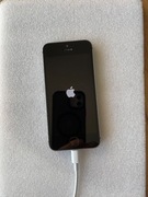 Wyświetlacz iPhone 5s