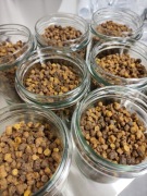 Pierzga pszczela 0.5kg 500g od pszczelarza z pasieki 