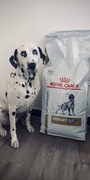 Karma Royal Canin Veterinary Canine Urinary U/C