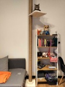 Drapak dla kota, drapak sufitowy - ręczna robota, możliwość personalizacji