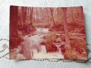 Roztocze -- pocztówka-odbitka fotograficzna - n. 600 szt - (35)