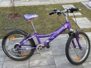 Rower mountain track 60