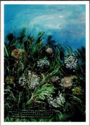 SATOŁA Dmuchawce - Stowarzyszenie Przyjaciół im. Wojtyły w Krakowie