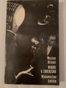 Widoki o zmierzchu Biliński