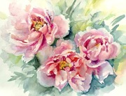 Piękne akwarele i grafiki z kwiatami, autorskie wykonanie,oryginaly