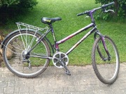 Rower damski Montana