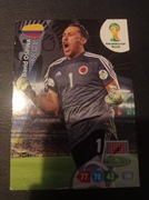 WORLD CUP 2014 OSPINA 77 