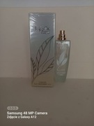 chatler damski 100ml
