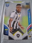 PANINI FIFA 365 2026 TEAM MATE BOT15 NATHAN FERNANDES BOTAFOGO
