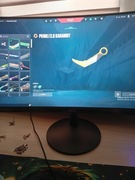 Konto valorant dużo skinów + 500valorant points