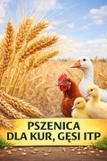 PSZENICA ZIARNO 24kg zbiór 2025r , karma dla gołębi , kur, kaczek