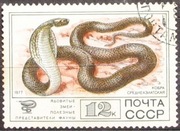 ZSRR 1977 r. Mi 4682 Gady