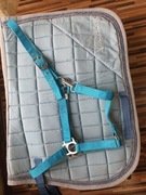 Czaprak, Kantar + dodatki 