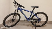 Rower Trek 4500 26"