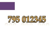 795 012345 ZŁOTY NUMER STARTER PLAY ŁATWY NA KARTĘ PREPAID GSM