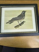 Elegancki obraz z ptakiem – stylowa grafika w drewnianej ramie